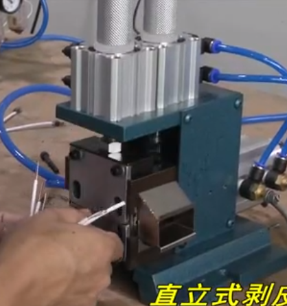 直立式剝皮機VA0視頻展示